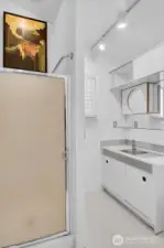 Primary bathroom.