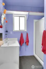 Lower level 3/4 bath.