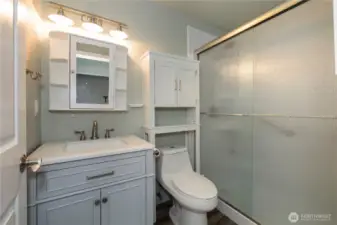 Guest bath.