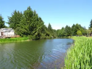 VIEW UP THE BLUE HERON BAYOU FROM YOUR DOCK!