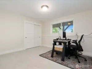 Lower level Bedroom #4