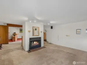 Basement Rec Room