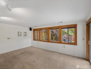Basement Rec Room