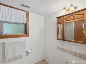 Basement Bathroom