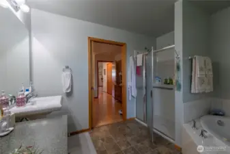 primary suite bathroom main floor