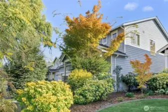 This view highlights the lush, mature landscaping that surrounds the home, creating a beautiful serene setting.