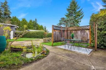 Back patio and small pond.