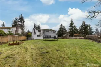 Massive level backyard with plenty of room to roam