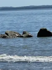 The picturesque Damon Point Beach.