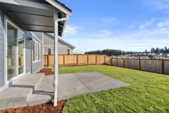 South facing back yard with view of Mt Rainier