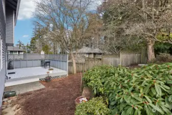 Nice size deck with privacy fence