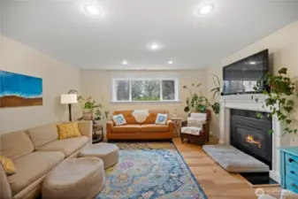 Basement Den/ Rec Room
