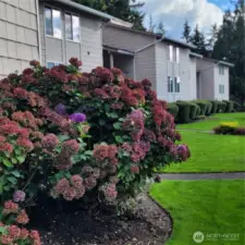 Complex has beautiful landscaping!