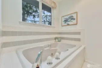 Soaking tub with jets.