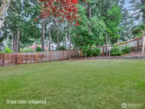 Looking from the back deck toward the back fence.