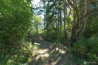 The property/trail as you enter from Spring Street.