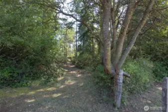 Entrance/trail to explore the property off of Spring Street.