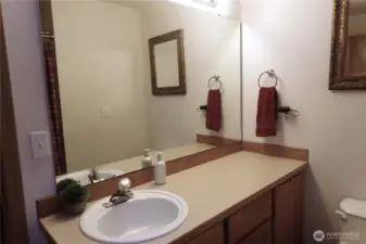 2nd Bath vanity