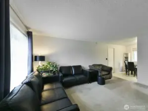 Ample size livingroom