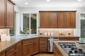 Granite counters, big bright windows over the sink to take-in the lush green views...