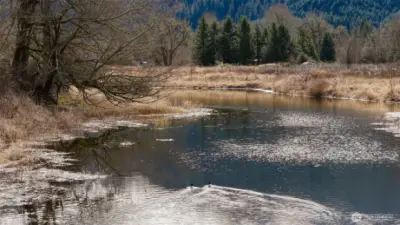Johnson Pond on property