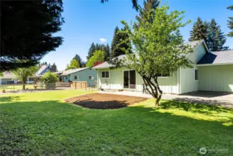 This space has plenty of room to run, play or garden. And there's space to BBQ in the shaded area to the right of the plum tree.
