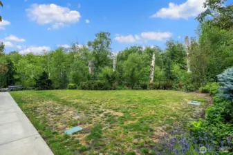 Community Park in front of your home.