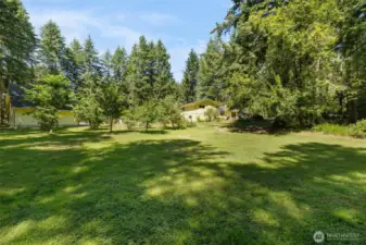 A backyard that delivers: lush lawn, established fruit trees, and the open sky above. This is the good kind of wide open.