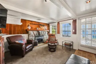 Lower Level family room with wood-burning fireplace and a mini-split with its own dedicated heat pump for both heating and cooling.