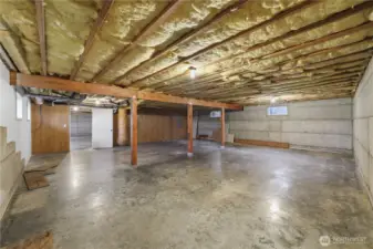 Unfinished basement area 2