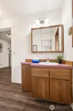A view of the primary bath vanity and medicine cabinet upper mirror to help with storage of those day to day grooming items.