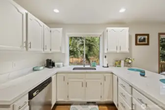 Beautiful quartz counters sparkle in fantastic natural light.