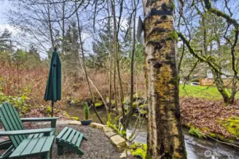 Outside, your private oasis in the city awaits! The seller worked with the King County  Conservation District to restore this area to a healthy and happy woodland area.
