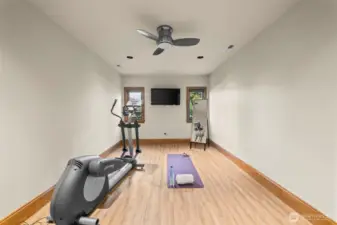 This focused gym space combines a contemporary overhead fan for a constant cool breeze with integrated media, transforming your daily routine into a premier wellness experience.