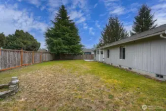 Huge backyard that is fully fenced