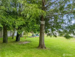 Community park.