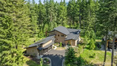 Home Drone View