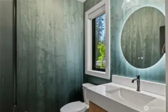 Downstairs Powder Room
