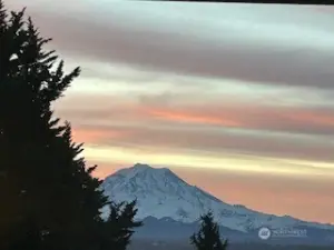 Beautful views of Mt. Rainier.