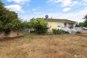 Back yard