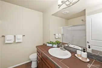 Ample bathroom counterspace.