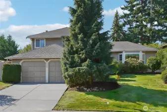 Newly poured driveway