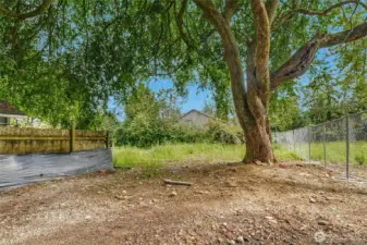 Future driveway easement to 523 Park St.