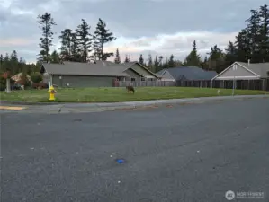 Looking from the South