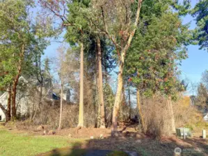 Surveyed and Corners Marked.  Transformer box on right on neighboring lot.