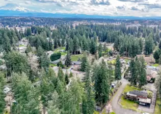 Such a beautiful established neighborhood!