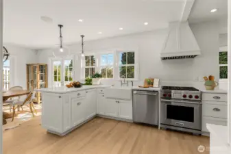 Modern Chef's Kitchen