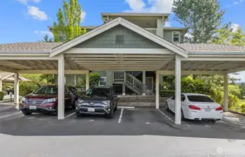 Assigned carport parking PLUS additional guest spots in the complex AND street parking.