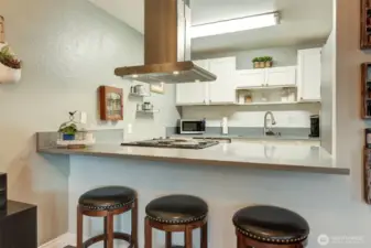Quartz kitchen counter tops