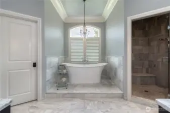 A Serene Spa off of the Primary Bedroom on the Main Floor